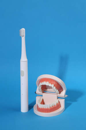 Model of human jaw with white teeth and ultrasonic toothbrush on blue bright background. Dental care conceptの写真素材