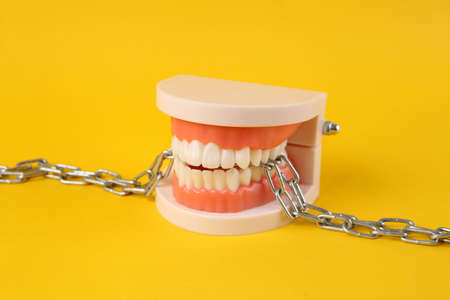 Strong and healthy teeth. Plastic model of a human jaw gnaws through a steel chain on yellow backgroundの写真素材