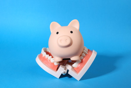 Plastic model of a human jaw with piggy bank on blue backgroundの写真素材