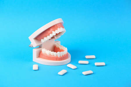 Human jaw model with teeth and chewing gum pads on a blue background. Dental care concept