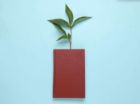 Book with germinated green plant on blue background. knowledge, information conceptの写真素材