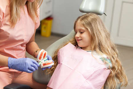 Woman dentist shows a little girl how to properly brush her teeth while holding model of human jaw...