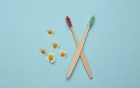Eco toothbrushes on a blue background with chamomile. oral hygiene