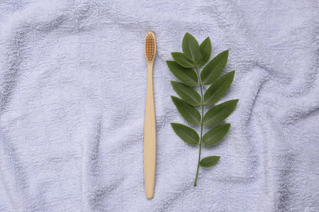 Eco toothbrush and green sprig on towelの写真素材