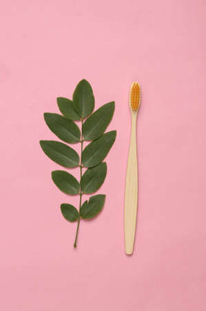 Eco bamboo toothbrush with green twig on pink pastel backgroundの写真素材