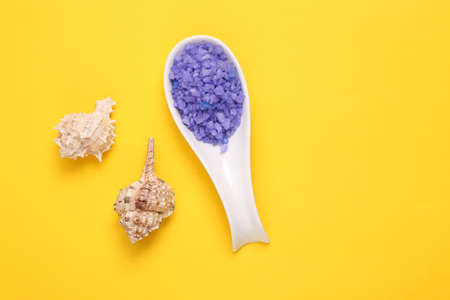 Ceramic spoon with sea salt for bath and seashells on bright yellow background