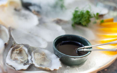 Fresh oysters in a shell, served on a plateの写真素材