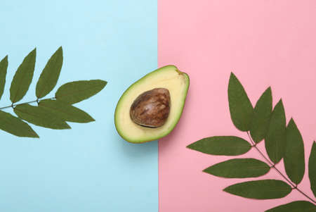 Half of a green avocado with bone on blue-pink pastel background with green leaves. top view
