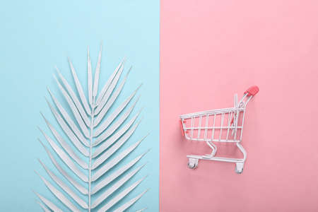 minimal layout. Shopping cart with palm leaf on blue pink pastel background