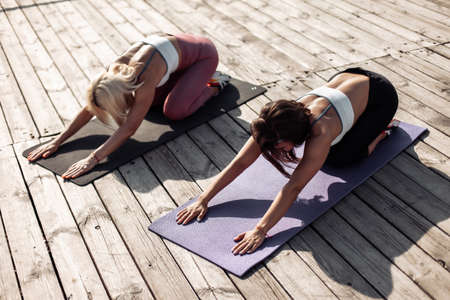 Two athletic women meditate together while sitting on a yoga mat outdoors. healthy lifestyleの写真素材
