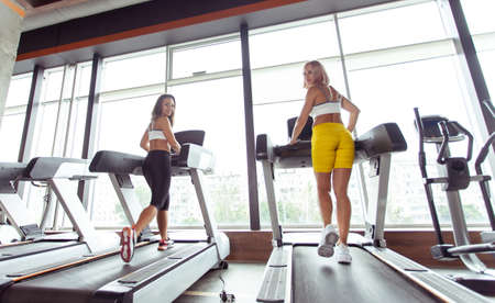 Two athletic women running on a treadmill in gymの写真素材