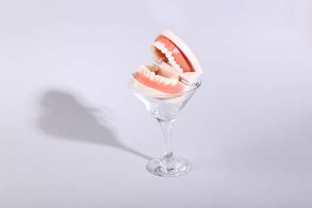 Jaw model in cocktail glass on gray background. fresh ideas. Minimal party concept, creative layout