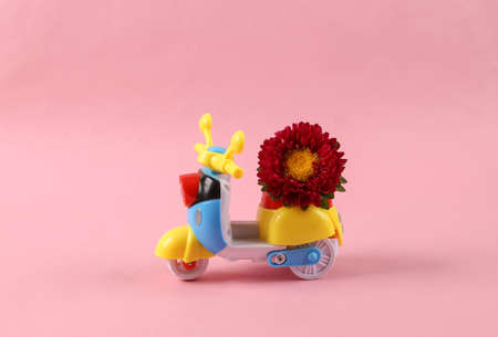 flower delivery concept. Mini moped with a flower on a pink background