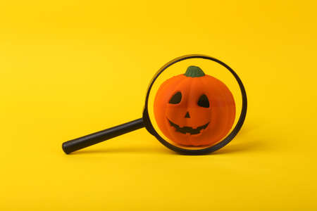 Halloween pumpkin through magnifying glass on yellow backgroundの写真素材