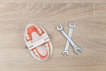 Human jaw model with wrenches on the table. dental treatmentの写真素材