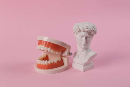 Antique bust of David with human jaw model on a pink background. Minimal still lifeの写真素材