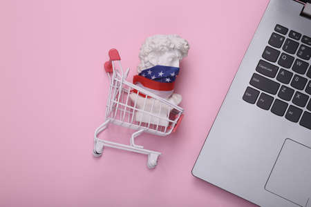 David bust with usa flag on his face in shopping trolley and laptop on pink blue background. online shopping. Minimal still life. flat layの写真素材