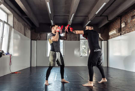 Male fighter trains punches with partner training boxing pawsの写真素材