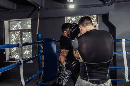 Two kickboxers, fighters fight with gloves in a boxing ring. Sparring partners