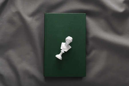 Venus bust and books on gray silk background
