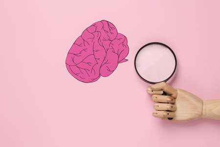 Intellectual, learning concept. Paper brain with magnifying glass in wooden hand on pink backgroundの写真素材