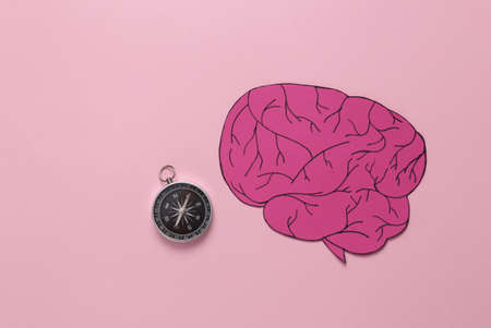 Paper-cut brain with a compass on a pink background. business conceptの写真素材