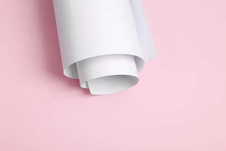 Rolled up roll of white paper on a pink background. Mockup for design