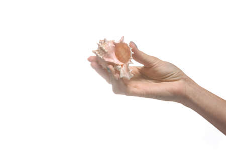 Woman's hand holds seashell isolated on a white background.
