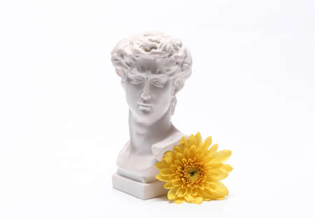 Aesthetic still life, David bust with yellow flower isolated on a white background. Romantic, love conceptの写真素材