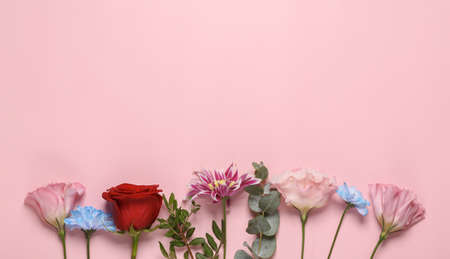 Different flowers on a pink background with space for your textの写真素材