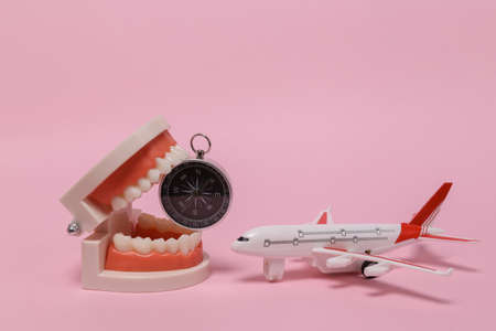 Travel, voyage concept. Model of passenger plane with compass in jaw on pink background