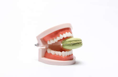 Human jaw with macaroon isolated on white background