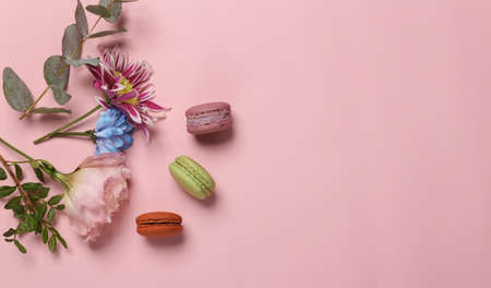 Set of colored macaroons with flowers on pink background. French sweet delicacy. Space for text....