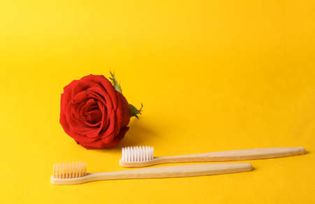 Dental care, eco concept. Bamboo toothbrushes with red rose on yellow background.の写真素材