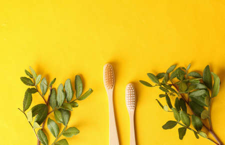 Dental care, eco concept. Bamboo toothbrushes with green sprig on yellow background. flat lay