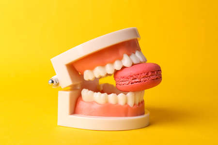 Human jaw model with french macaroons on yellow background. minimal food concept