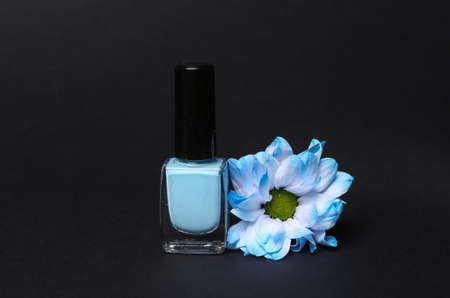 beauty still life. Blue Nail polish bottle with blue flower isolated on black backgroundの写真素材