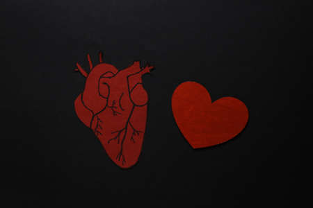 love concept. Anatomical heart and love heart on black background. Valentine's Day. 14th Februaryの写真素材