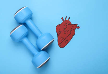 Healthy heart concept. Dumbbells with anatomical heart on a blue backgroundの写真素材