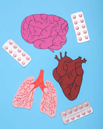 Treatment of diseases, medical concept. Internal organs with pills. anatomical. Brain, lungs and...