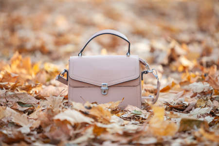 Leather women's stylish bag in fallen leaves outdoors. autumn sale. Women's accessoriesの写真素材