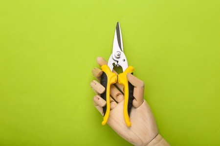 Wooden hand holding Garden pruner on green background. top viewの写真素材