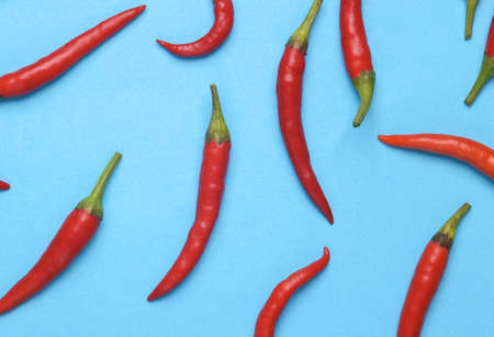 Background of Red chili pepper, blue backgroundの写真素材