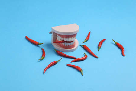Jaw model with chilli pepper on blue background