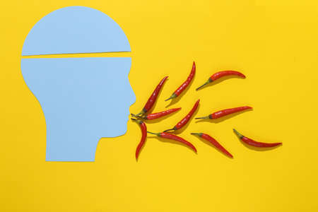 Silhouette of a head with chili peppers on a yellow background. fire breath. creative ideasの写真素材