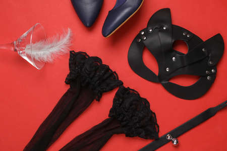 Accessories for sexual role play, bdsm domination. Top viewの写真素材