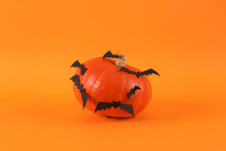 Pumpkin with bats on an orange background. Minimal halloween still life, decor, creative layout.の写真素材