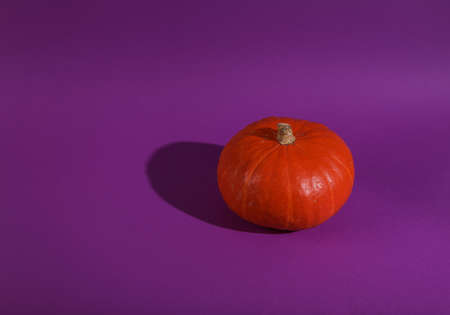 Orange pumpkin with a shadow on a bright purple background. Minimal Halloween still life. creative layoutの写真素材