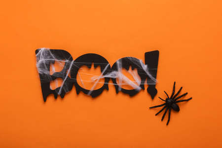 Black slogan Boo! wrapped in cobwebs and spider on orange background. Trick or treat. Halloween themed decor. top viewの写真素材