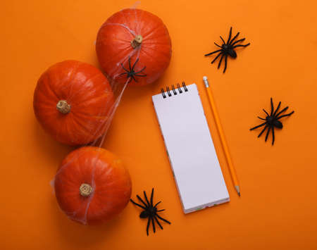 Flat lay halloween orange background from themed decor and empty notebook. top view. creative layoutの写真素材